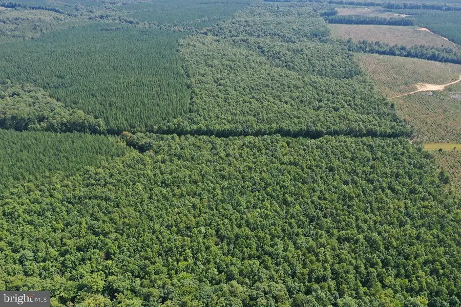 West James Anderson Hwy, Gladstone, VA 24553 - Image #2