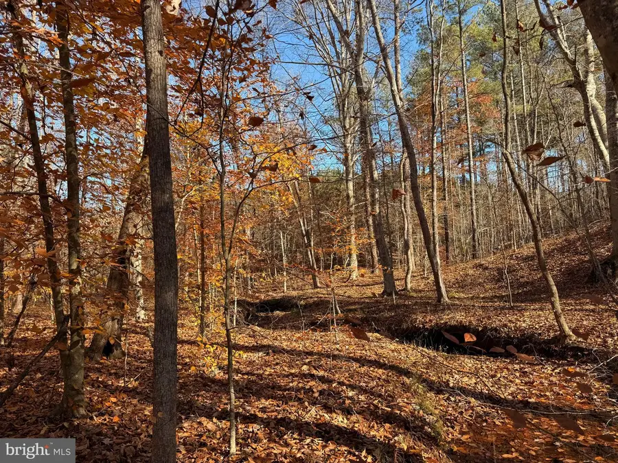 0 Hardware Rd, Arvonia, VA 24562 - Image #2