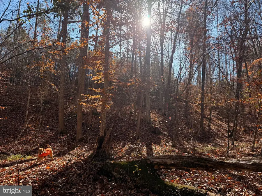 0 Hardware Rd, Arvonia, VA 24562 - Image #3