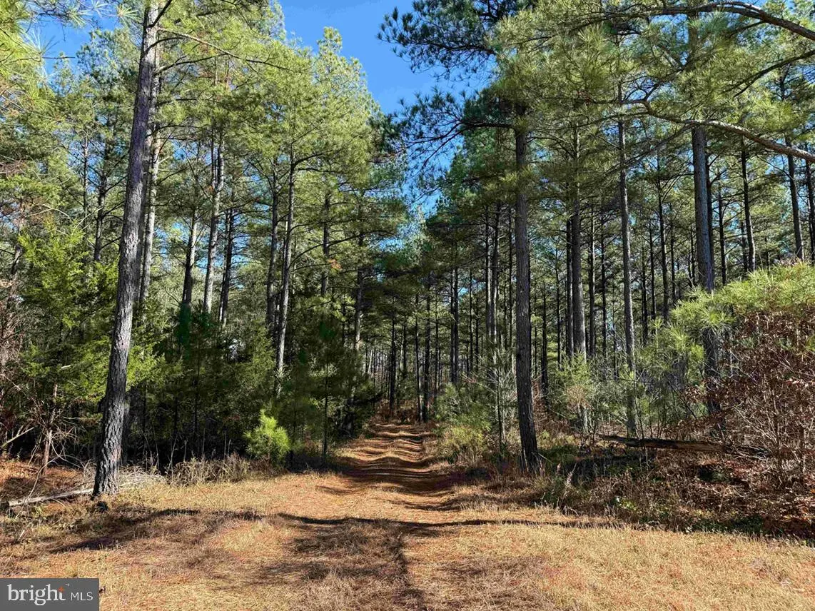 Off Of Diana Mill Road (tract: Tanager Et2 2023, Arvonia, VA 23004 - Image #1