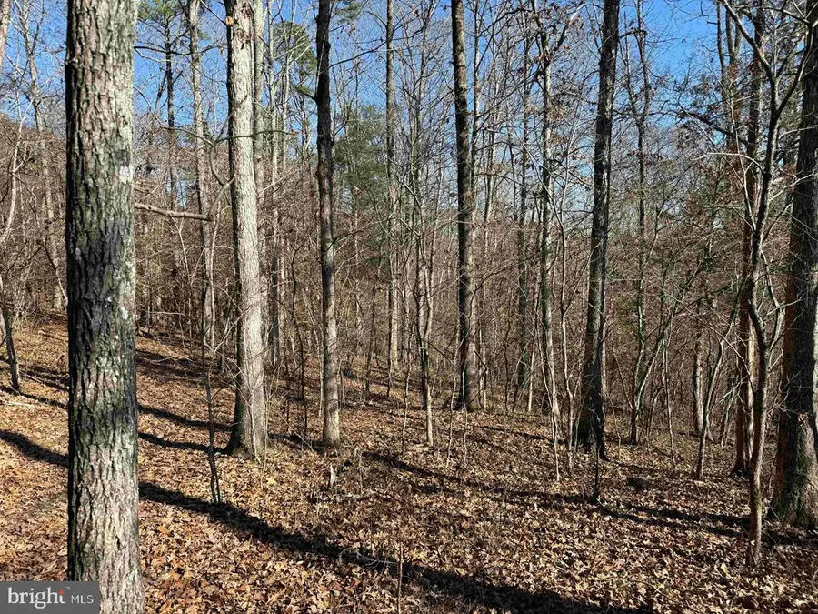 Off Of Diana Mill Road (tract: Tanager Et2 2023, Arvonia, VA 23004 - Image #3