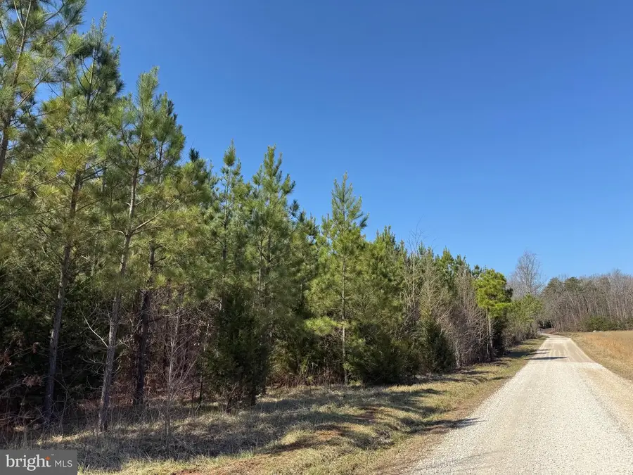 3a Maple Bridge Rd, Dillwyn, VA 23936 - #3