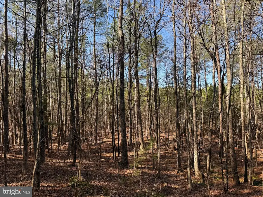 1 Maple Bridge Rd, Dillwyn, VA 23936 - #3