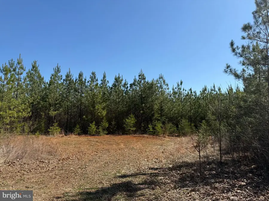 2a Sanders Creek, Dillwyn, VA 23936 - #3