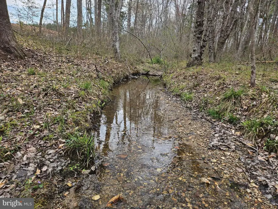 83.84 Ac S James River Rd, Buckingham, VA 23921 - #3