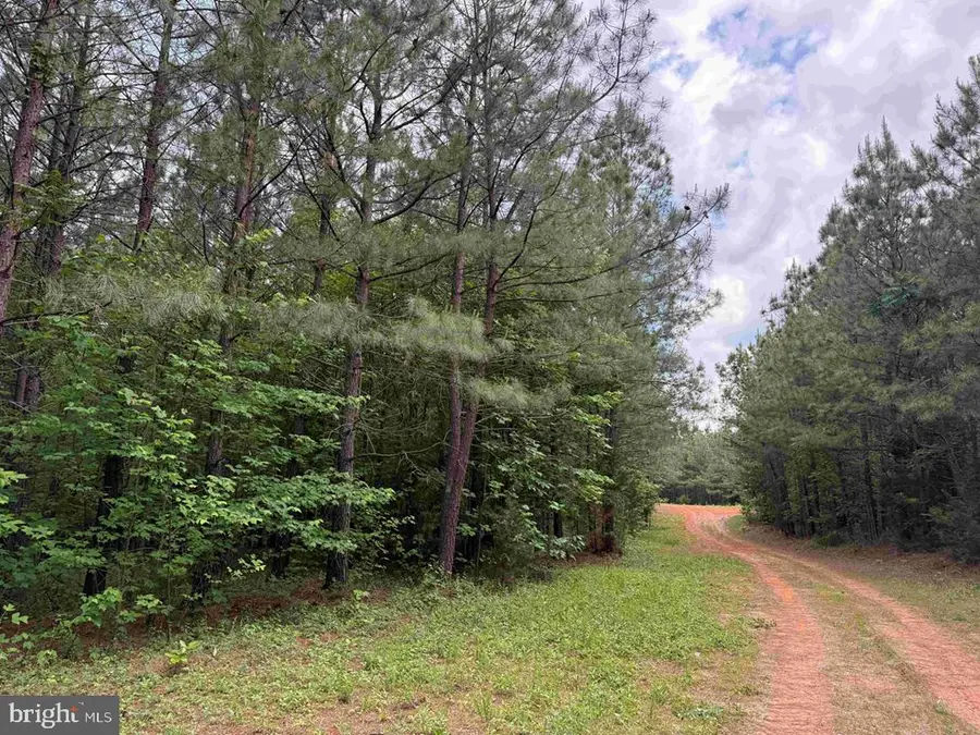 Bell Road (tract: Moore North), Dillwyn, VA 23936 - #2