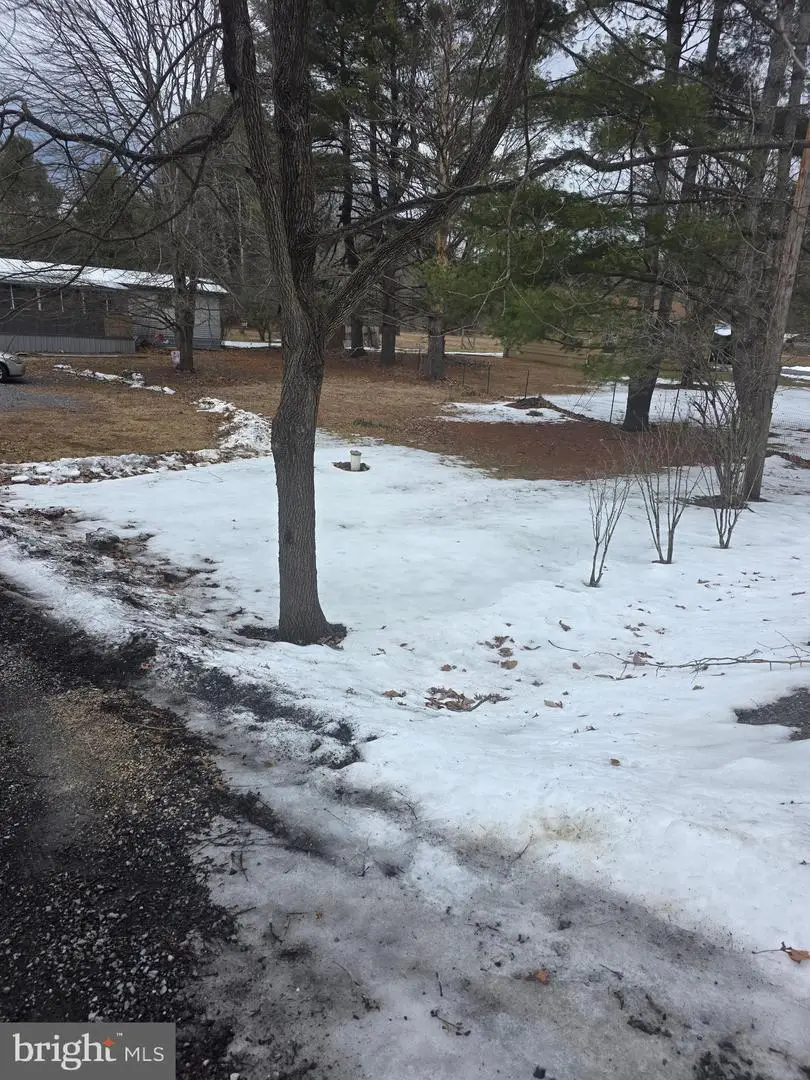 295 Clydes Run, Eagle Rock, VA 24085 - #3