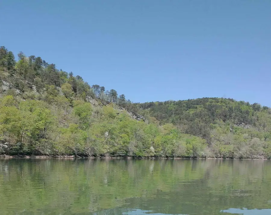 Lot 15 Fish Hook Trl, Pittsville, VA 24139 - #3
