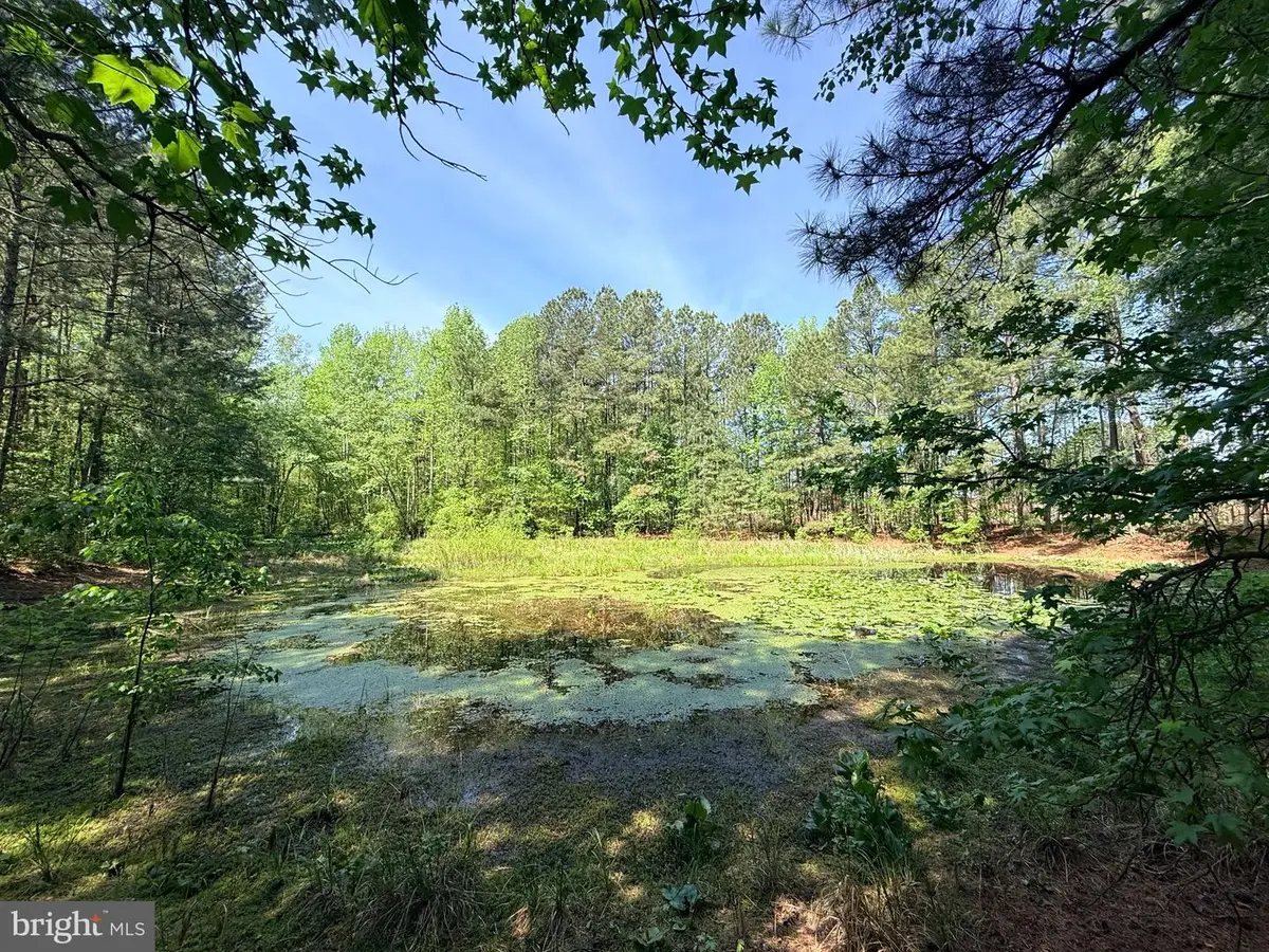 Lot 96 Sturgeon Rd, Lawrenceville, VA 23868 - #1