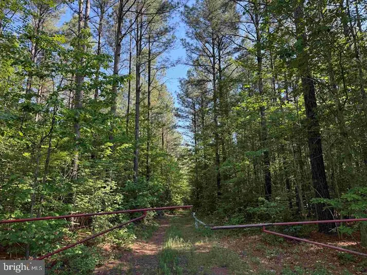 Brandy Creek Road (tract: The Family Tree), Lawrenceville, VA 23868 - #1