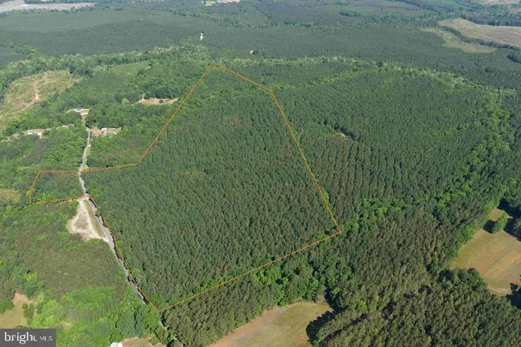 Brandy Creek Road (tract: The Family Tree), Lawrenceville, VA 23868 - #3