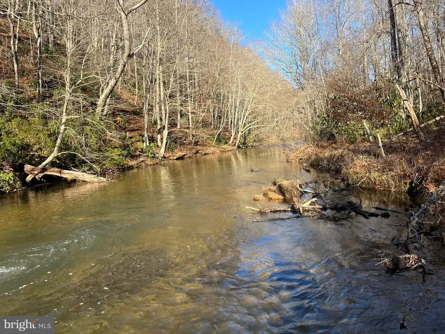 0 Chisholm Creek Rd, Laurel Fork, VA 24352 - #2