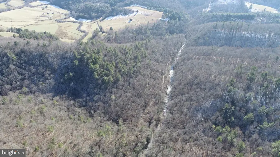 0 Chisholm Creek Rd, Laurel Fork, VA 24352 - #3