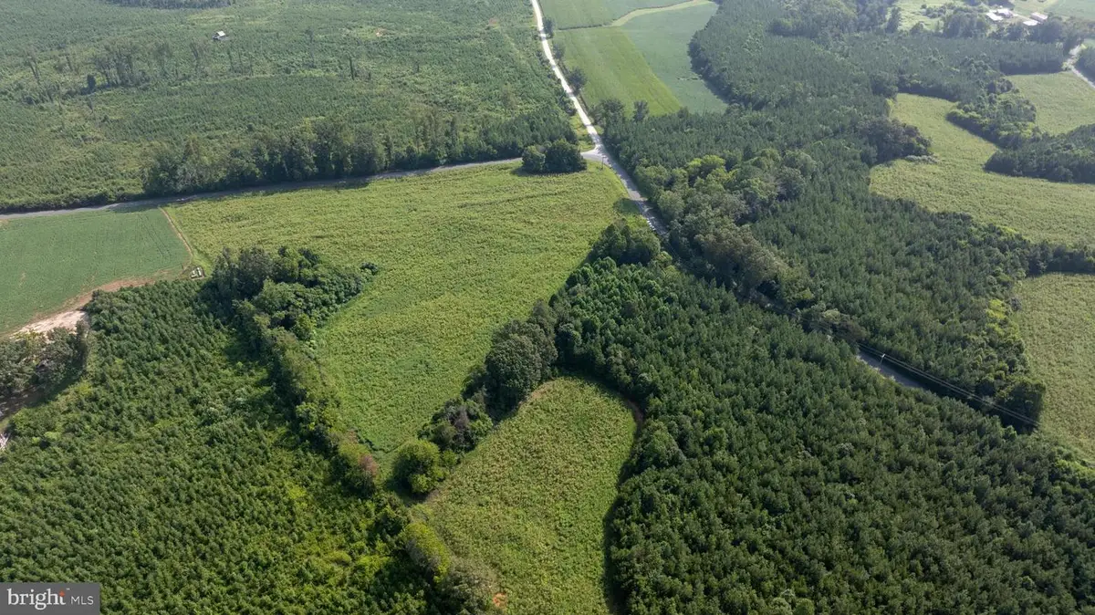 Tbd Trents Cemetery Road #lot 7, Phenix, VA 23959 - #1