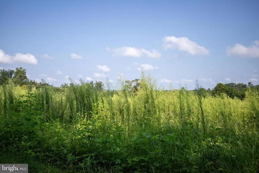 Tbd Trents Cemetery Road #lot 7, Phenix, VA 23959 - #2