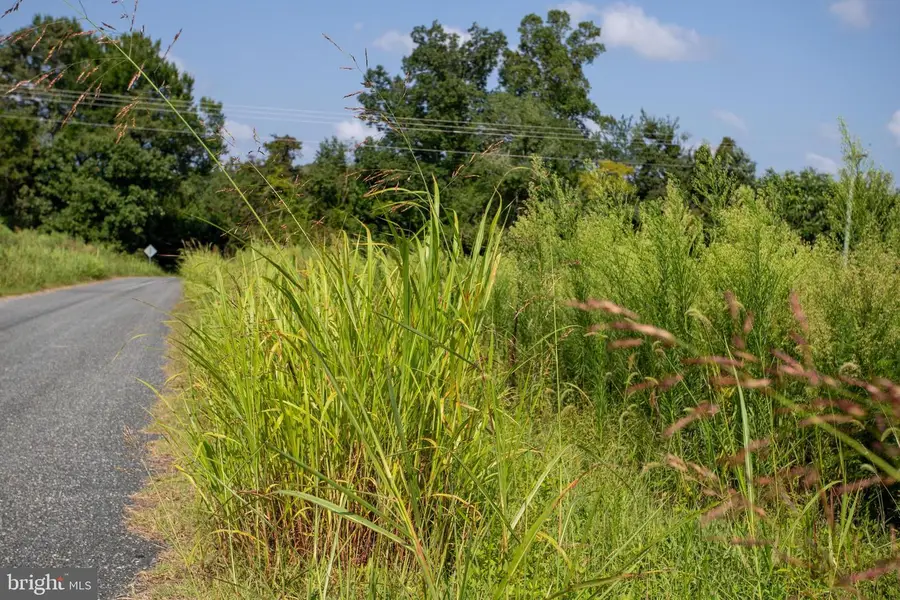 Tbd Trents Cemetery Road #lot 7, Phenix, VA 23959 - #3