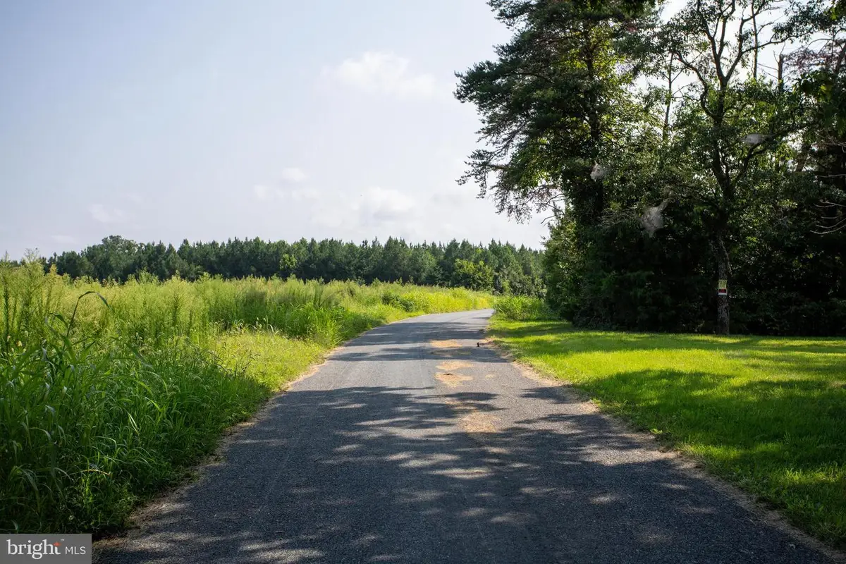 Tbd Trents Cemetery Road #lot 7, Phenix, VA 23959 - #1