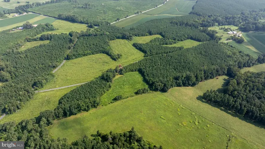 Tbd Trents Cemetery Road #lot 7, Phenix, VA 23959 - #3