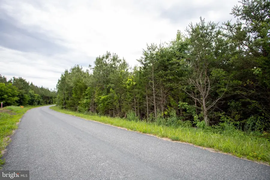 Tbd Trents Cemetery Road #lot 6, Phenix, VA 23959 - #2