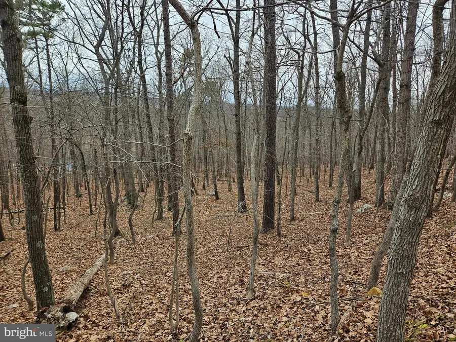 Chapman Ln, Boyce, VA 22620 - Image #3