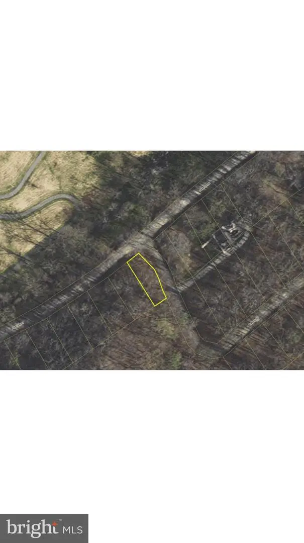 Lot 45 Timber Ln, Bluemont, VA 20135 - #3
