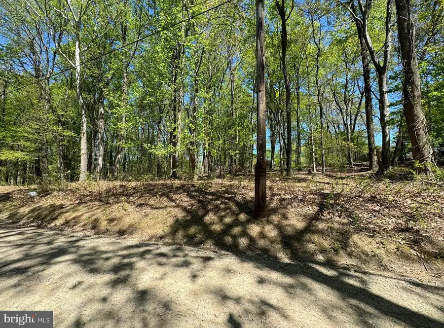 Lot 92 Honeysuckle Ln, Bluemont, VA 20135 - #3