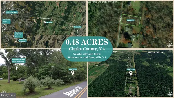 Moose Rd, BERRYVILLE, VA 22611