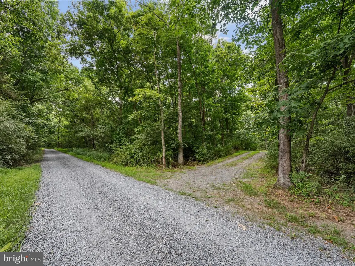 Lot 4 Rock Hall Farm Ln, Berryville, VA 22611 - #1