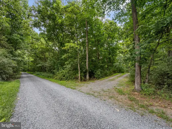 Lot 4 Rock Hall Farm Ln, BERRYVILLE, VA 22611