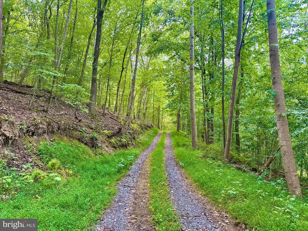 39-a-14 John Mosby Hwy, Boyce, VA 22620 - #1