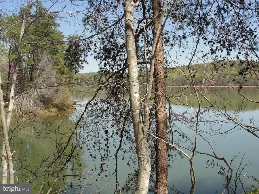 1180 Runaway Bay Rd, Lynch Station, VA 24571 - Image #3