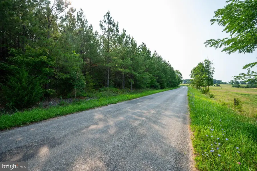 Wyatt Miles Rd, Gladys, VA 24554 - #3