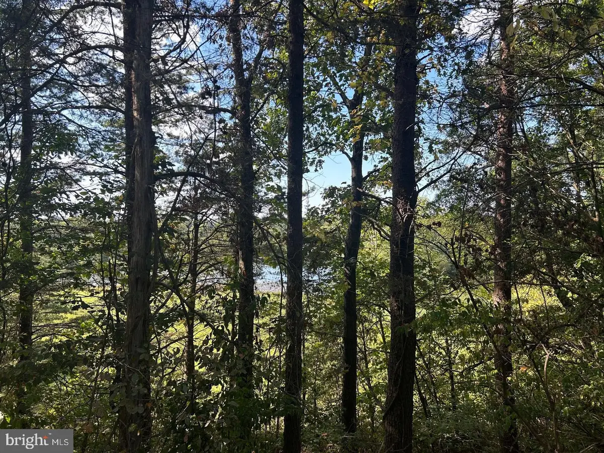 Parcel 14 Kipps Ln, Elkwood, VA 22718 - Image #1