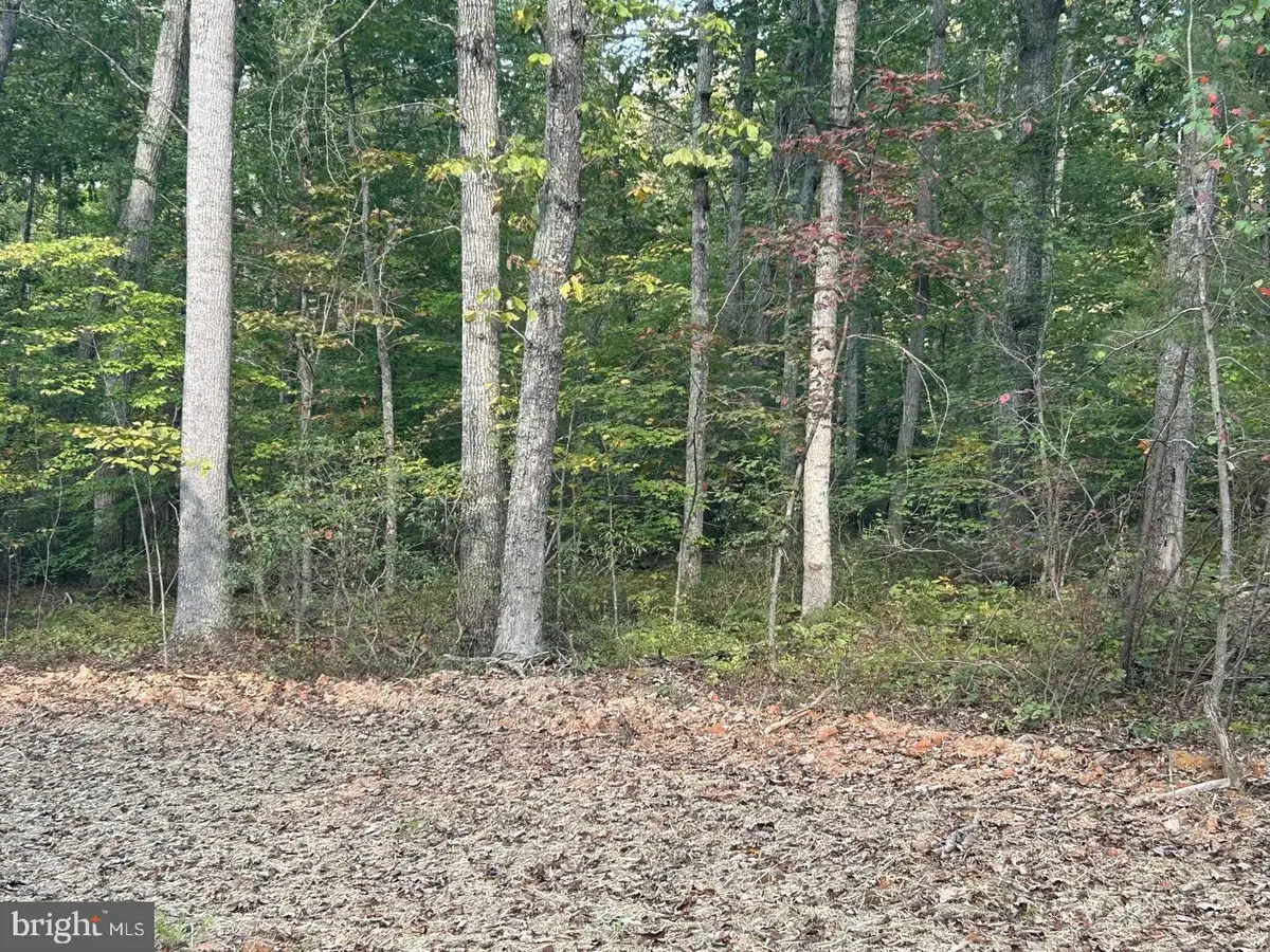 Parcel 18 Camden Ln, Elkwood, VA 22718 - Image #1