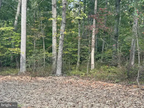 Parcel 18 Camden Ln, ELKWOOD, VA 22718