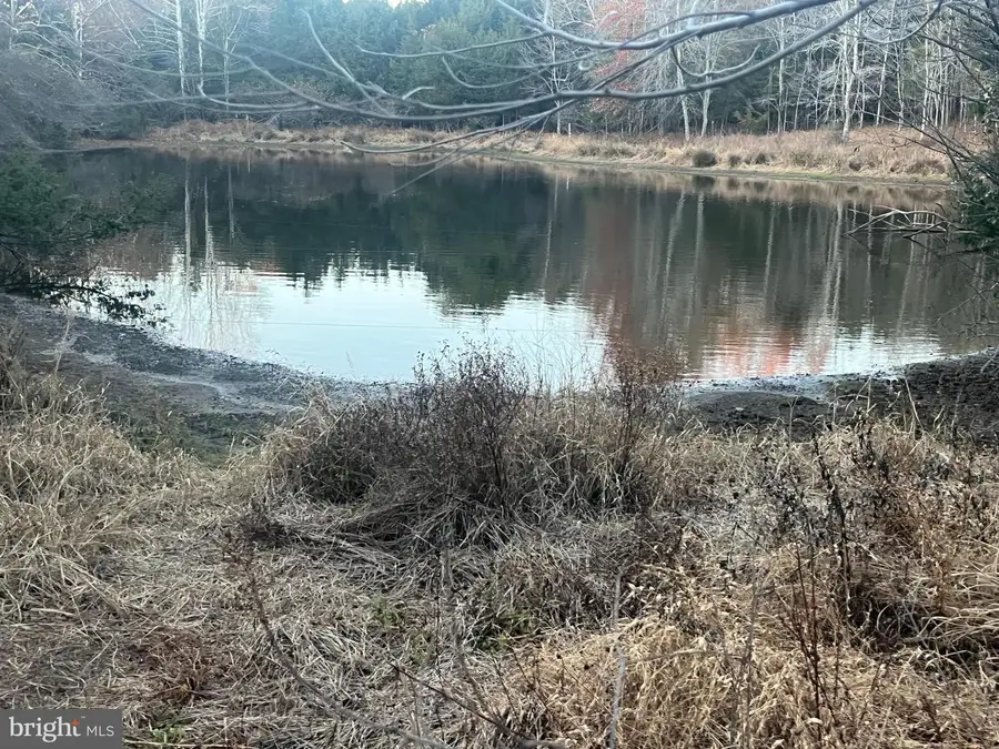 0 Mitchell Ford Rd, Lignum, VA 22726 - Image #2