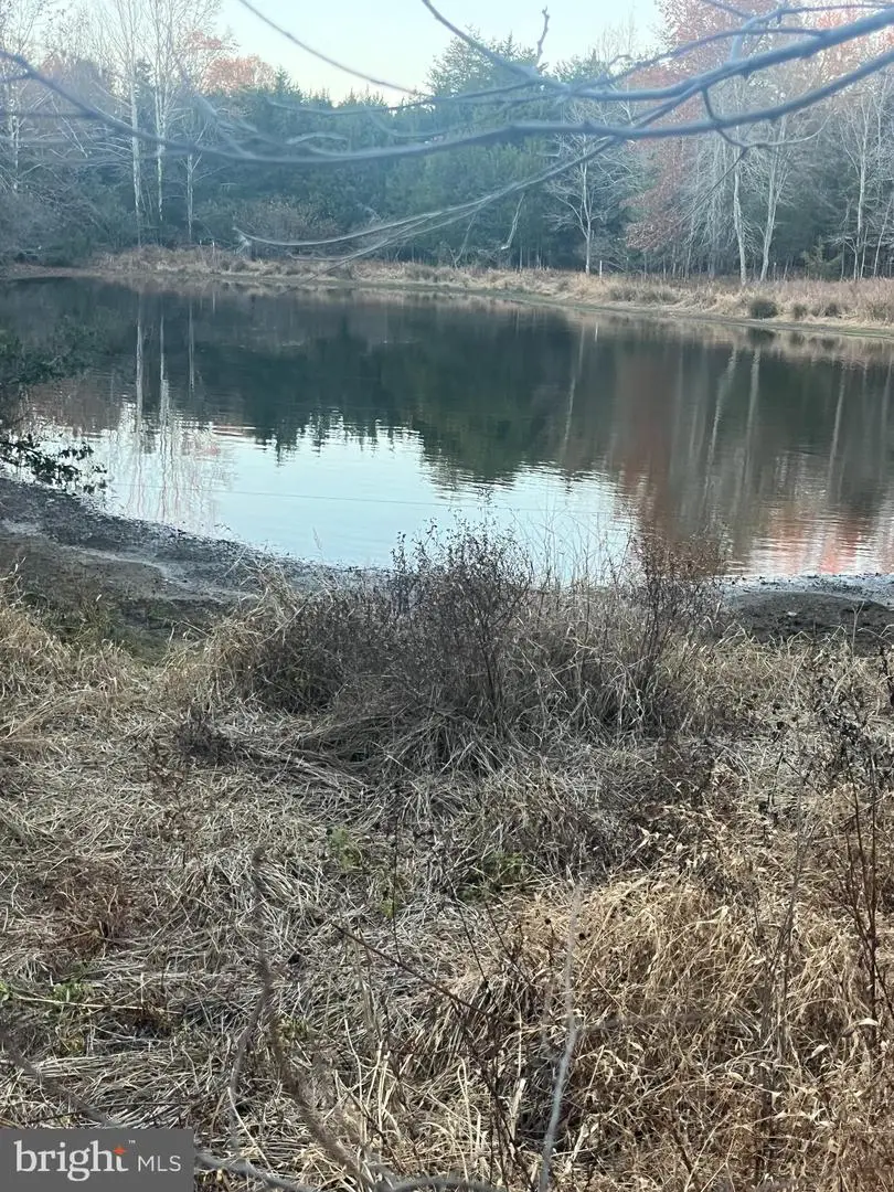 0 Mitchell Ford Rd, Lignum, VA 22726 - Image #3