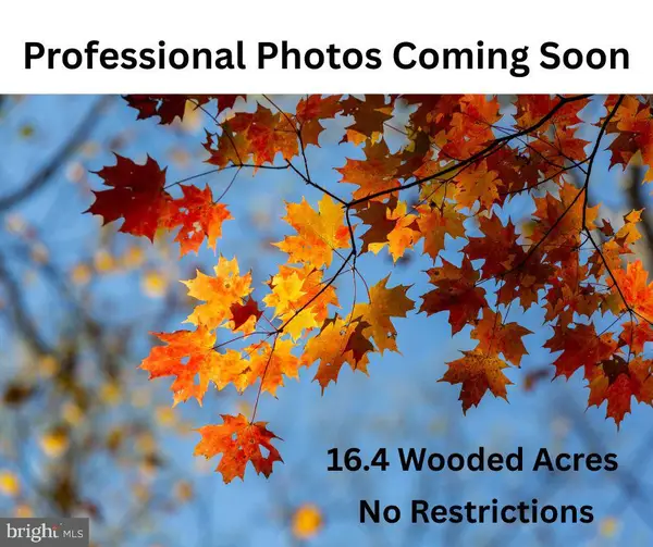 Tax Map 69 2b Eleys Ford Rd., RICHARDSVILLE, VA 22736