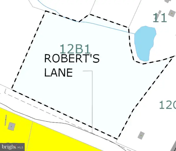 Roberts Lane Ln, RIXEYVILLE, VA 22737