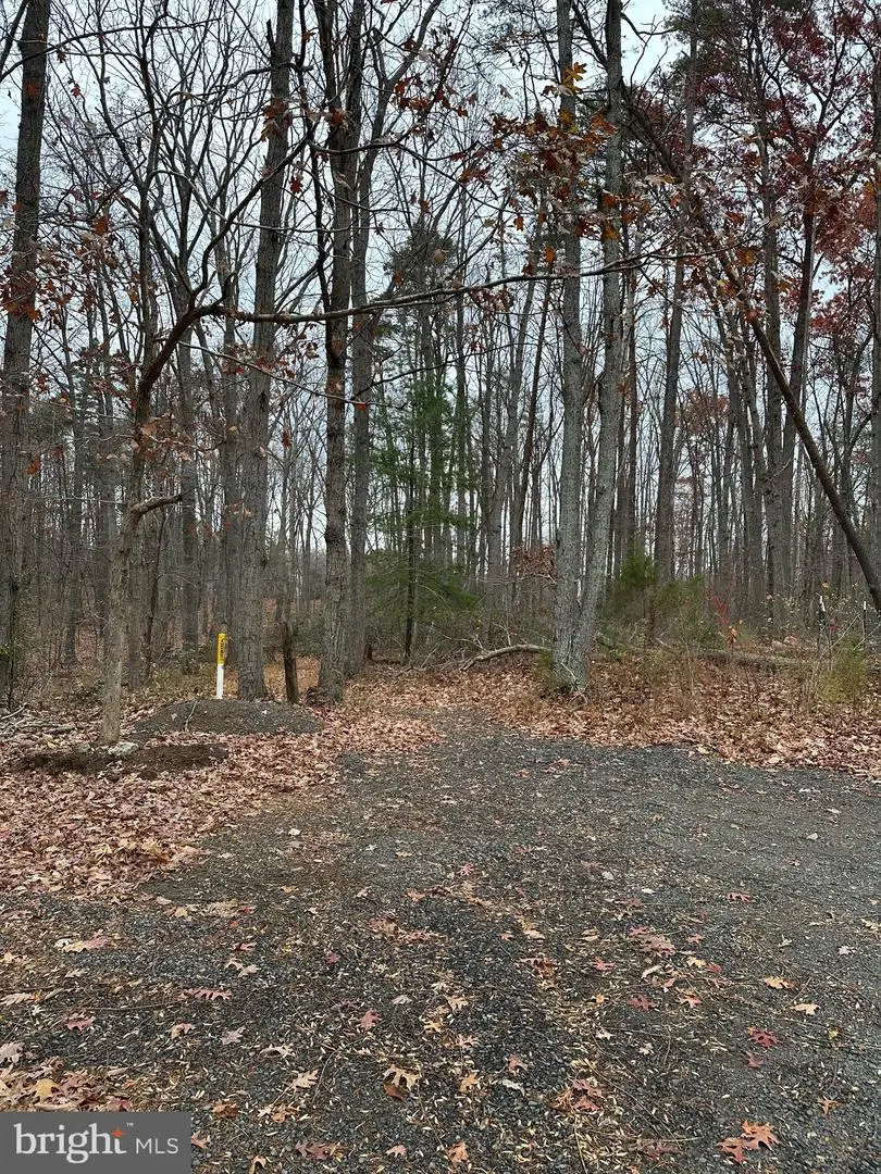 Woodland Church Road, Culpeper, VA 22701 - Image #2