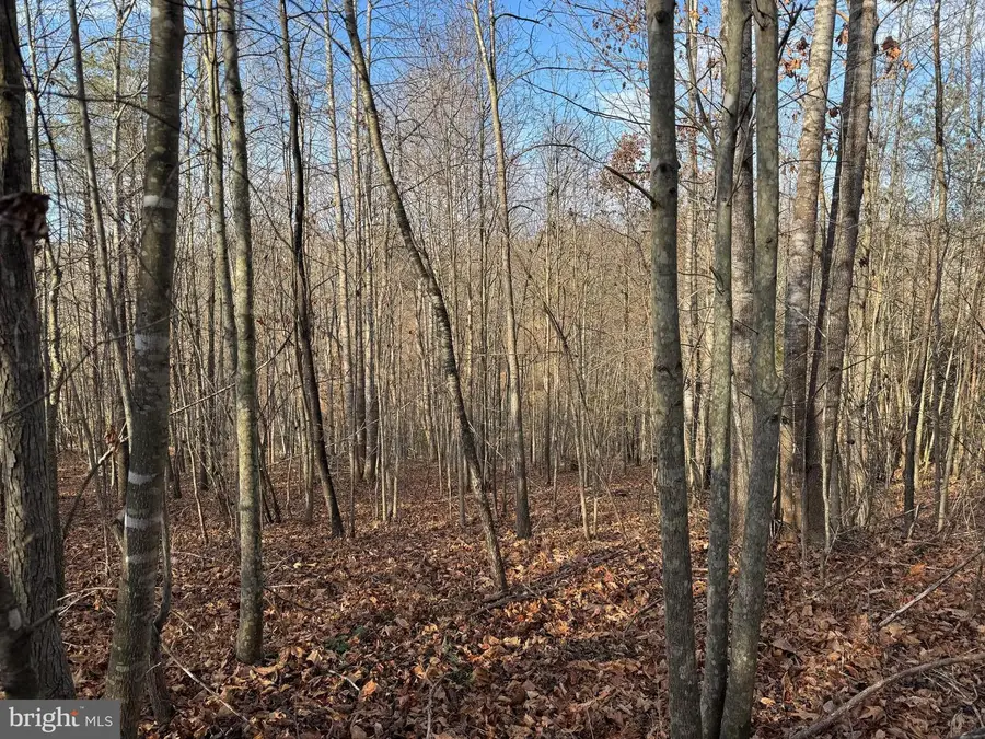 0 Peace And Quiet Cir, Reva, VA 22735 - Image #2