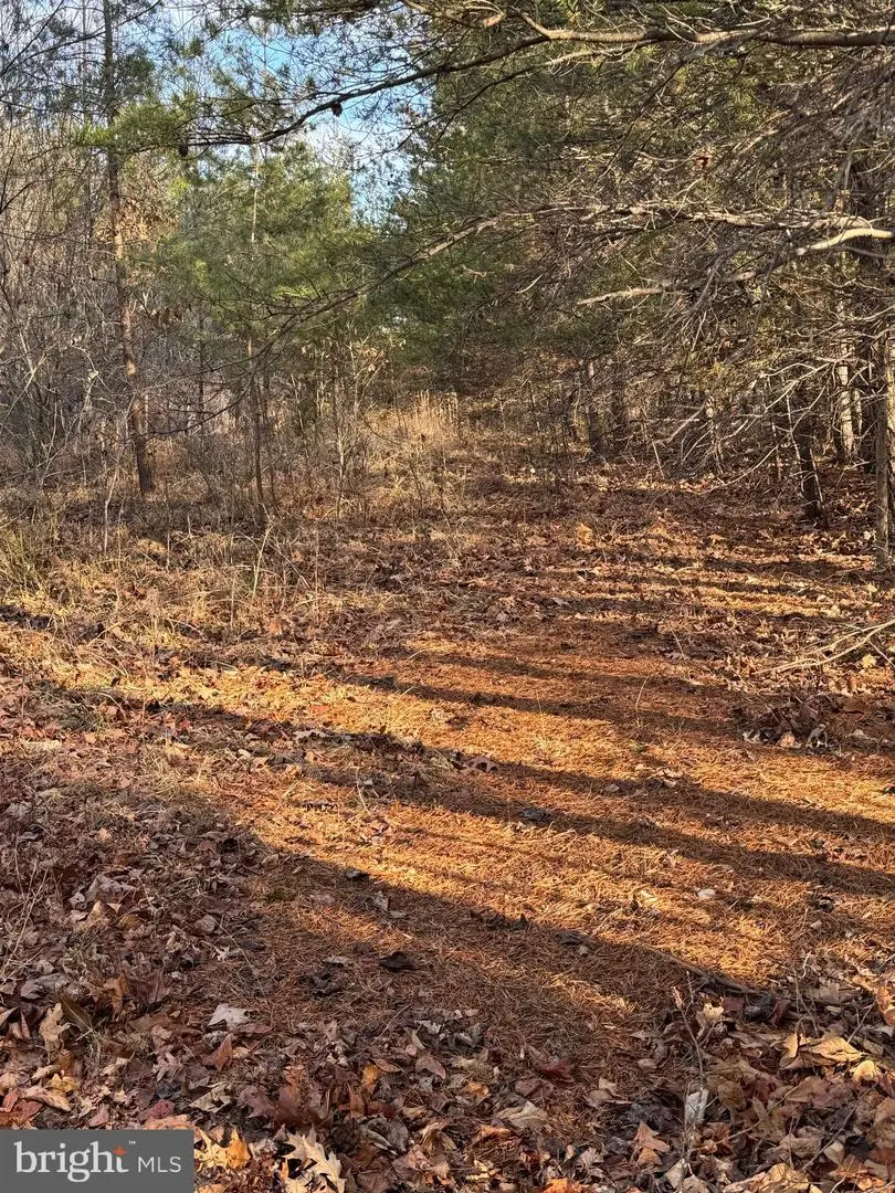 0 Peace And Quiet Cir, Reva, VA 22735 - Image #3