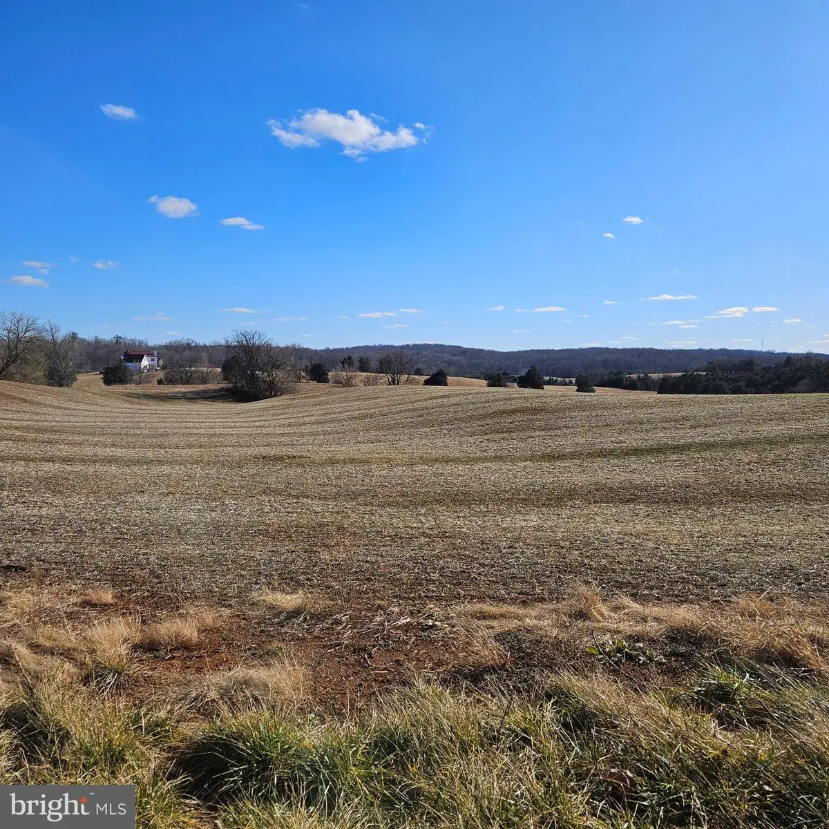 0 Ryland Chapel Rd, Rixeyville, VA 22737 - #1