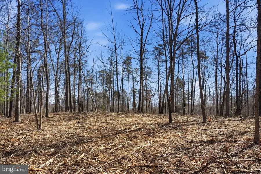 Lot 7b Old Stillhouse Rd, Boston, VA 22713 - #3