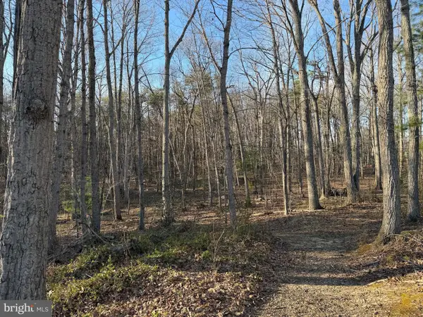 Woodland Church Rd, CULPEPER, VA 22701