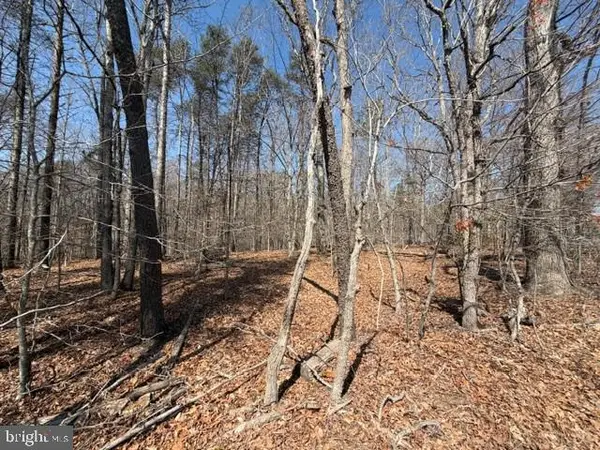 Countryside Lane - Lot 2, LIGNUM, VA 22726