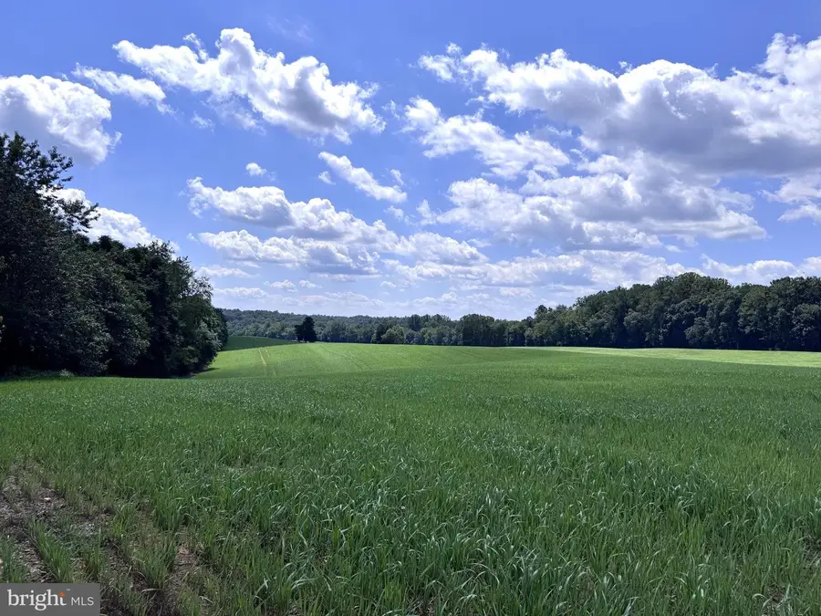 16560 Oak Shade Rd, Rixeyville, VA 22737 - #2
