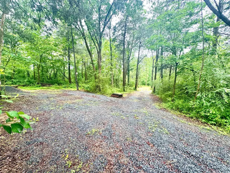 Slaughters Mill Rd, Mitchells, VA 22729 - #3