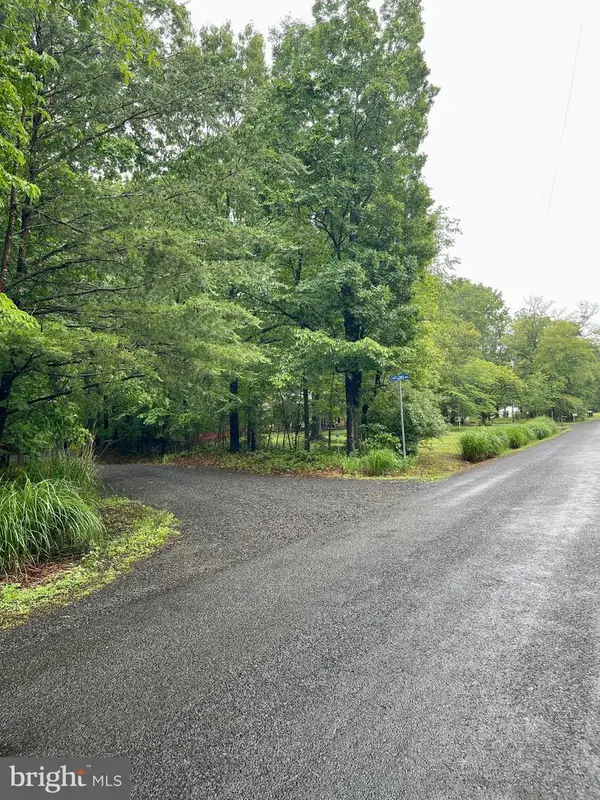 Carsons Way, AMISSVILLE, VA 20106