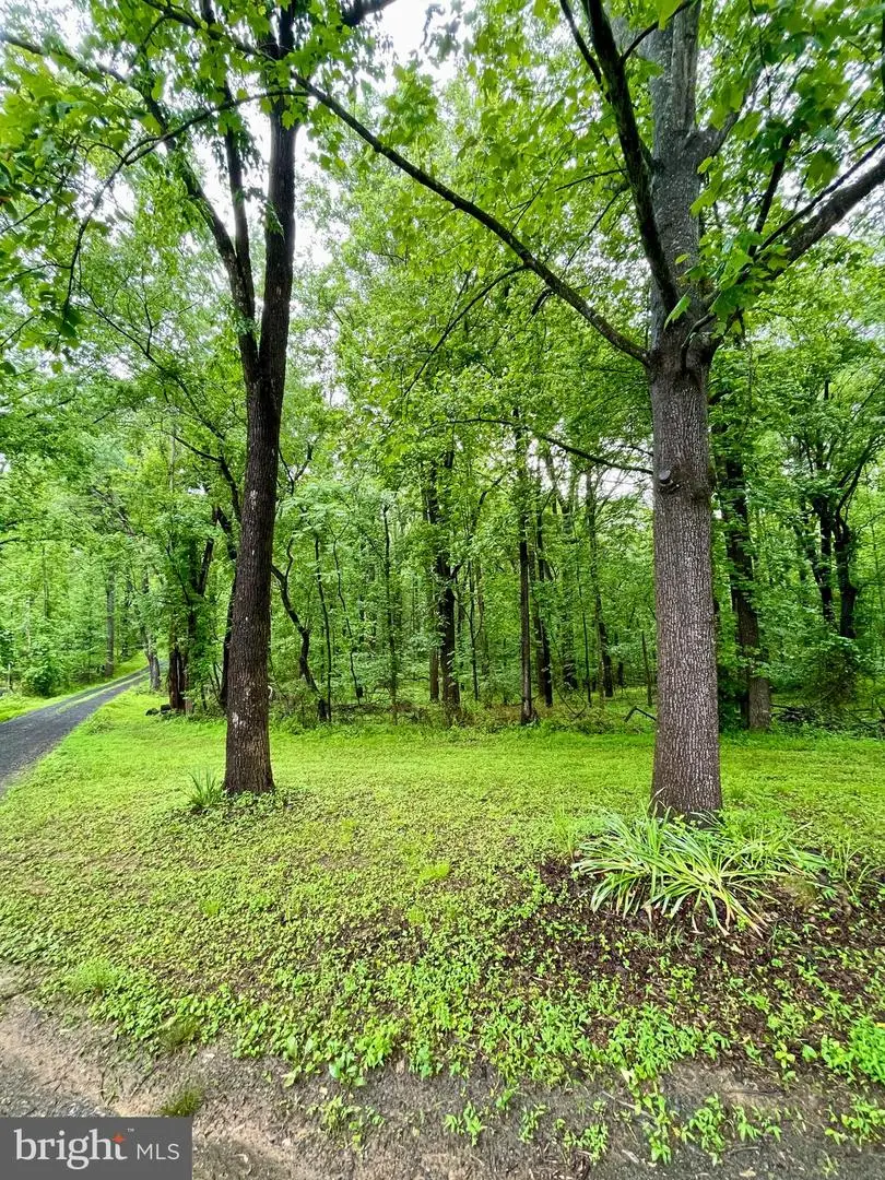 Carsons Way, Amissville, VA 20106 - #3